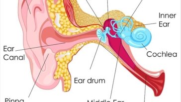 Tinnitus Management